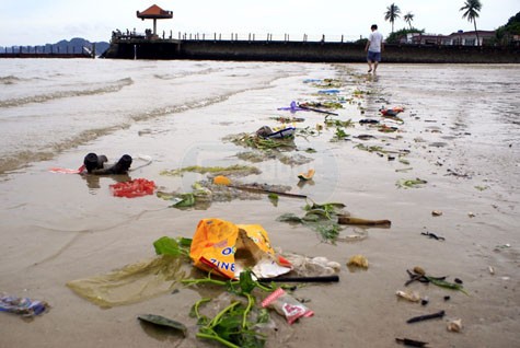 Trên bãi biển Hoàng Gia (Bãi Cháy, Hạ Long, Quảng Ninh) ngập ngụa các loại rác.
